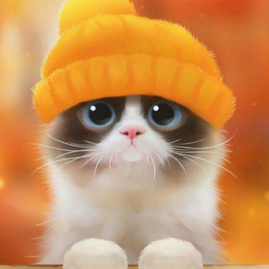 Милые котики в шапках