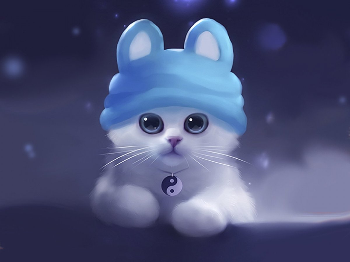 Котик в шапочке