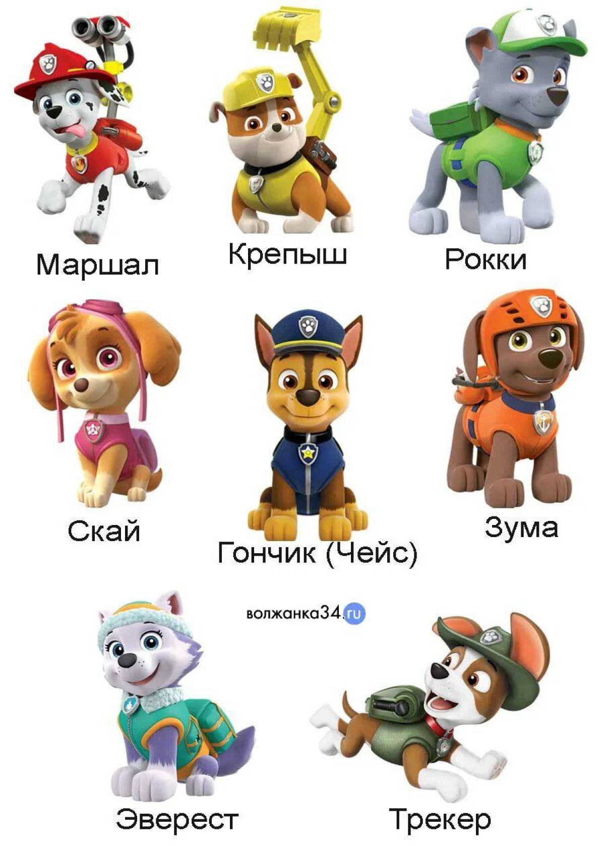 Шенячийпатруль герои имена