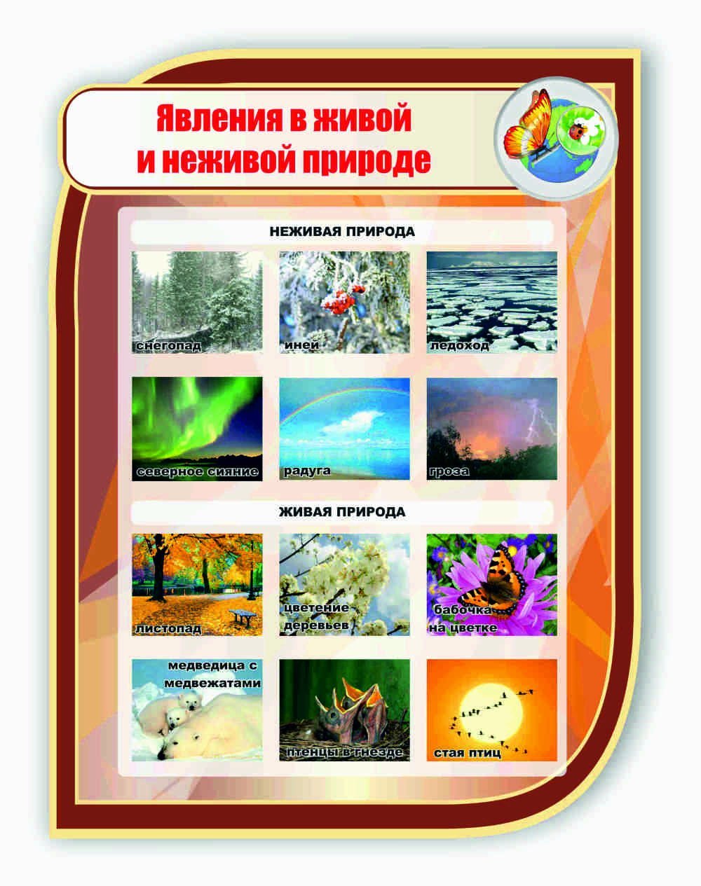 Стенд по окружающему миру