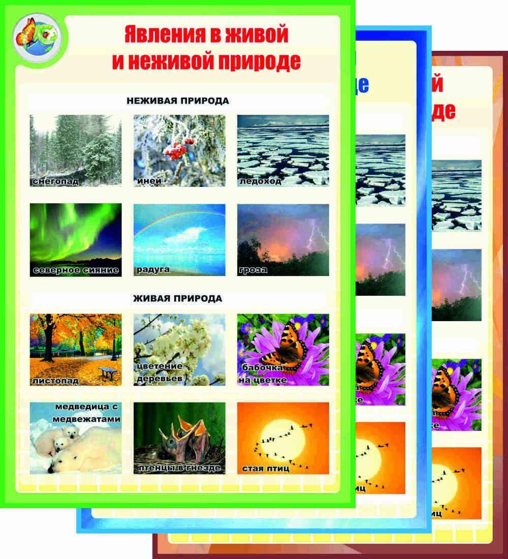 Зимние явления в неживой природе
