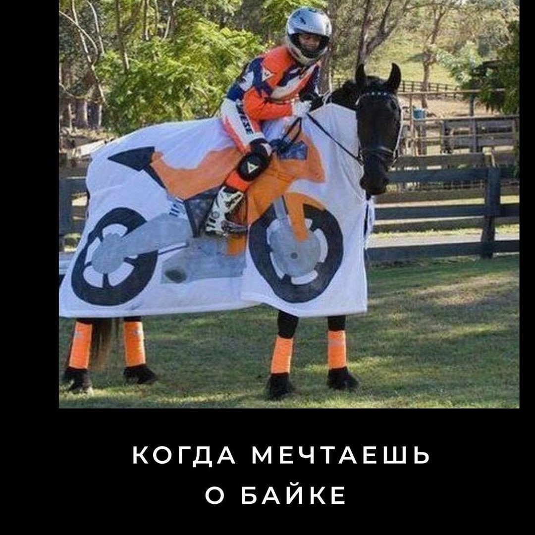Смешной рыцарь на коне
