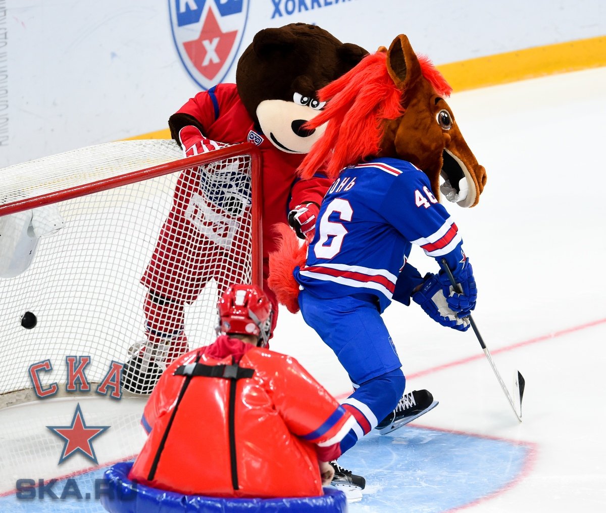 Конь СКА хоккей