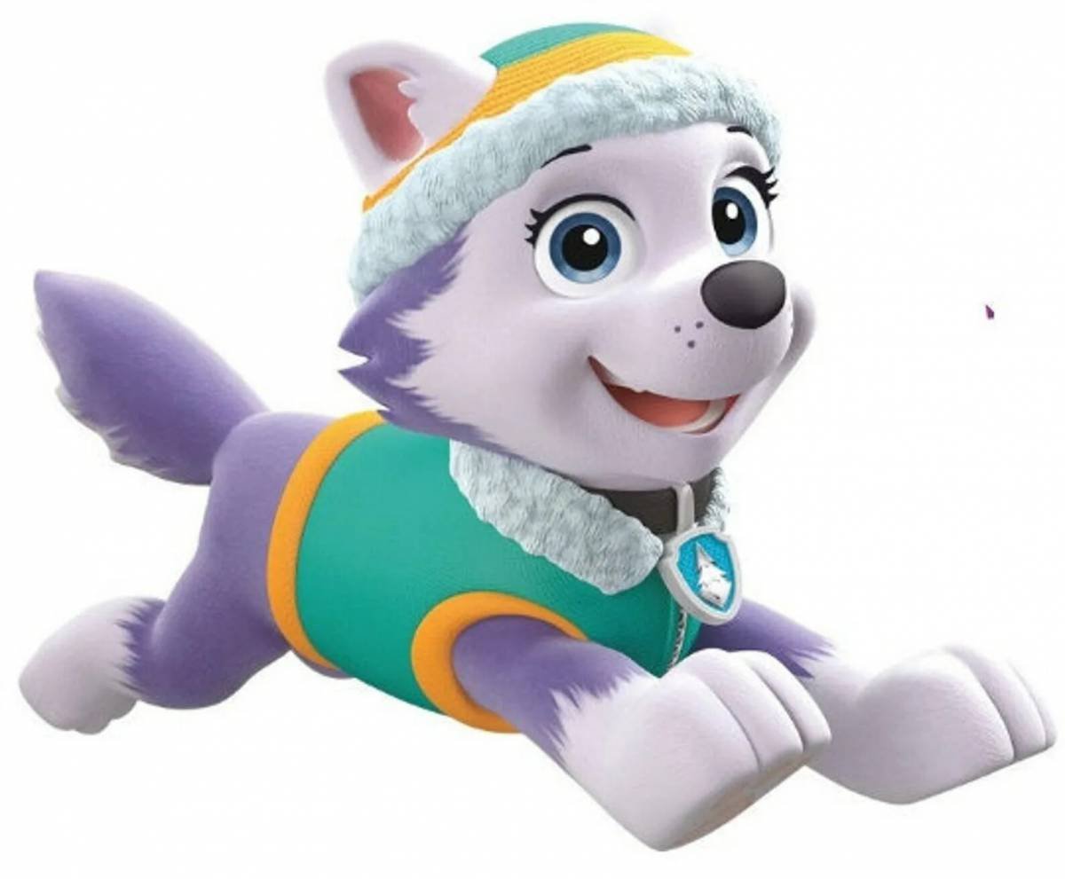 Paw Patrol Эверест