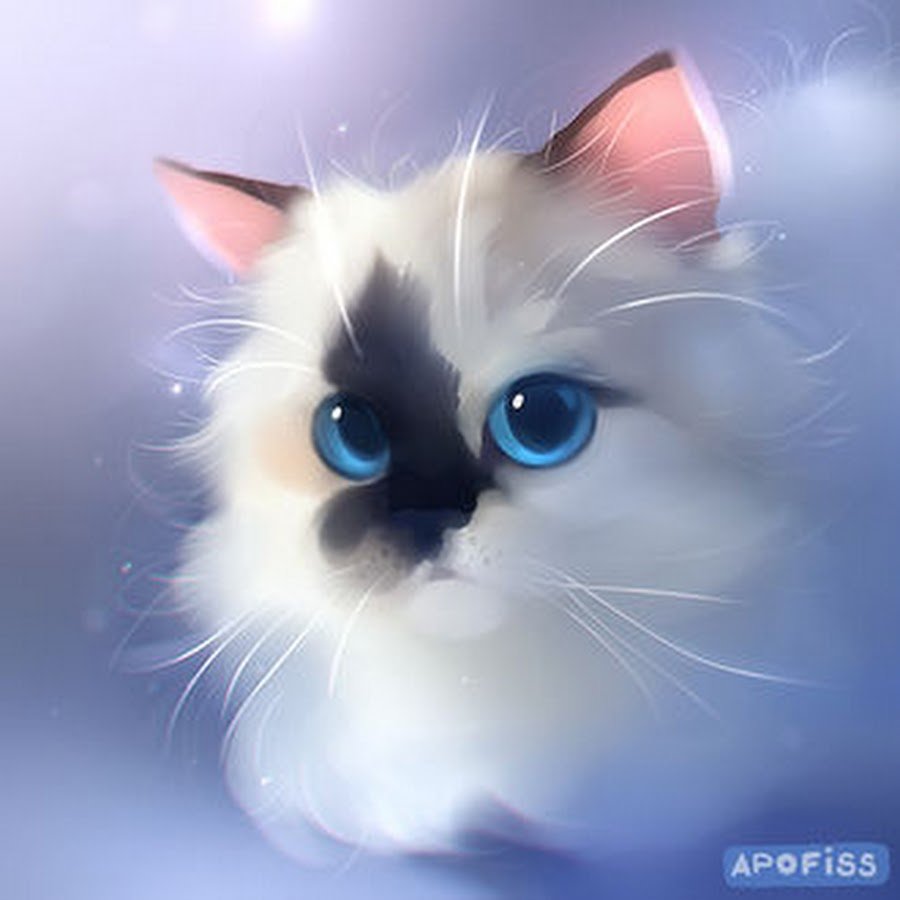 Милый кот