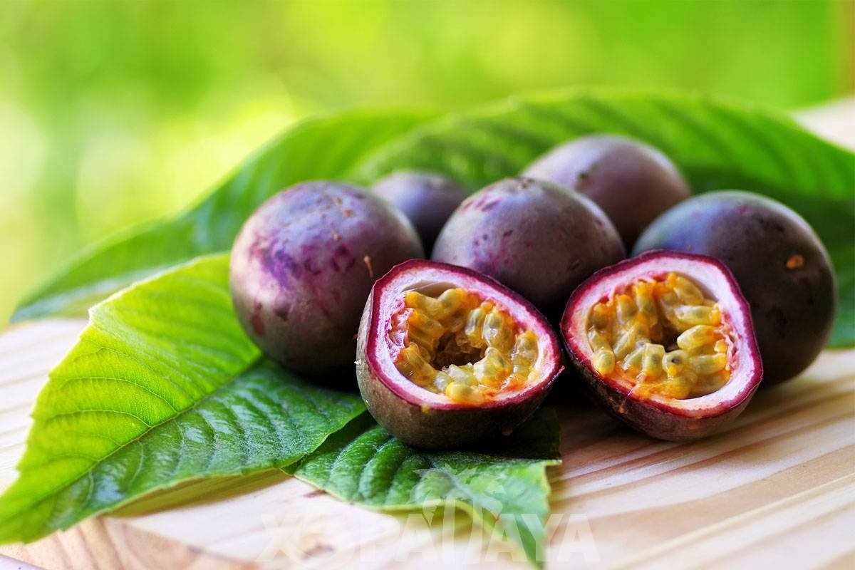 Маракуйя Пэшн Фрут