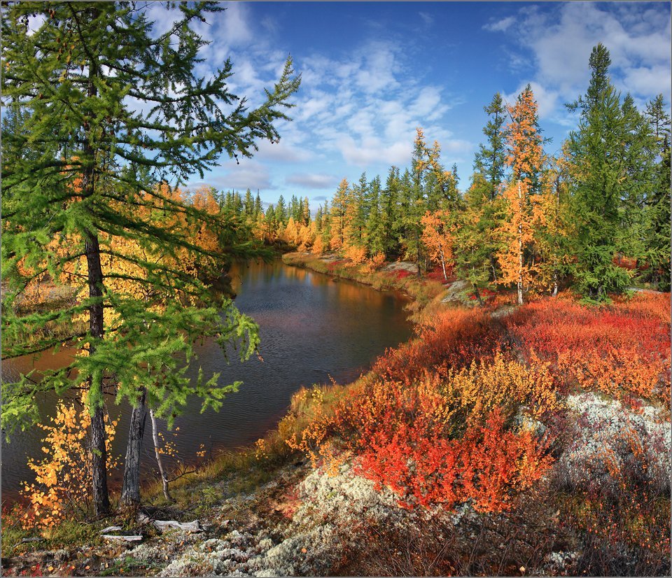 Природа Якутии Тайга
