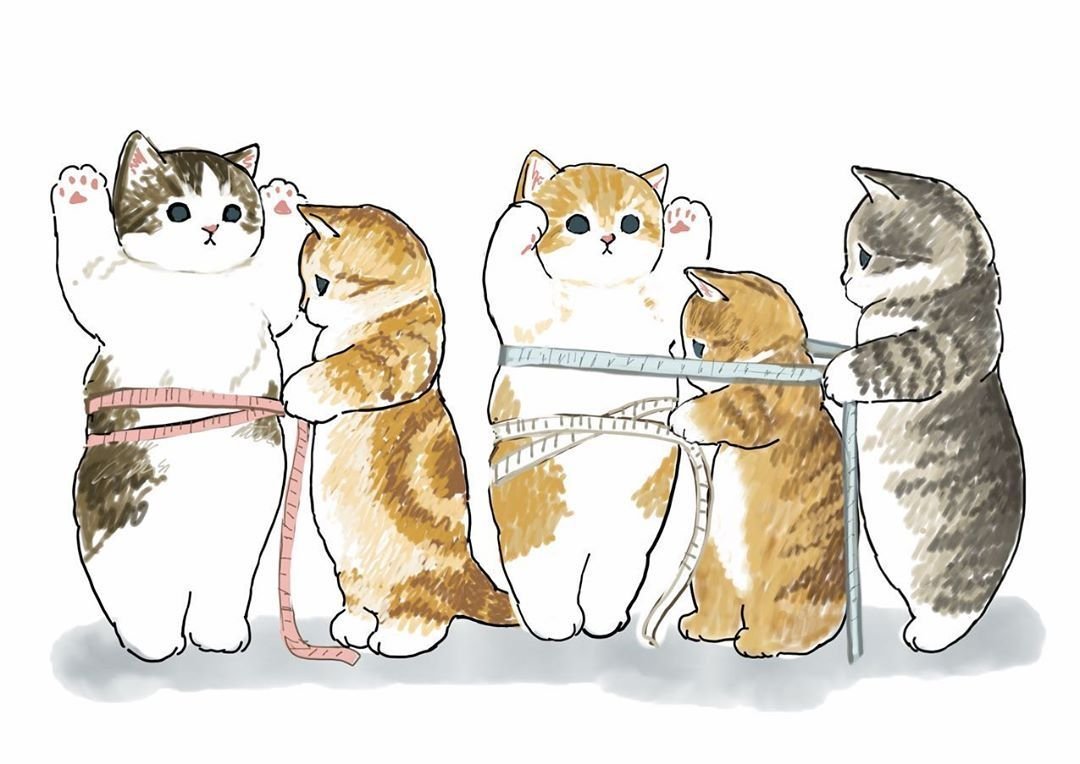 Котик измеряет талию котику