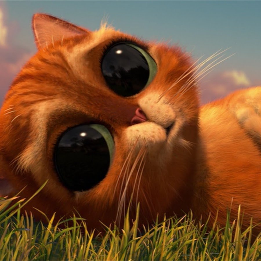 Котик из шрека