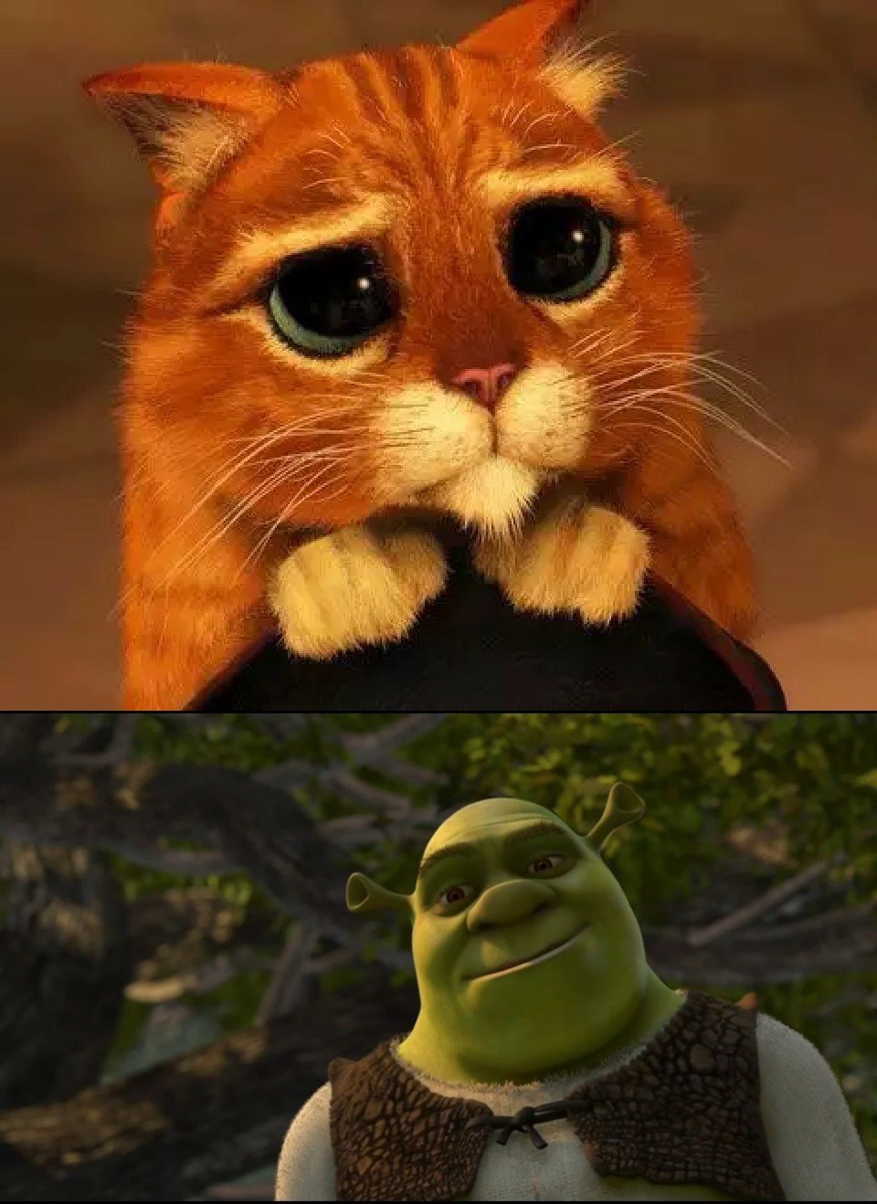 Шрек 2 кот