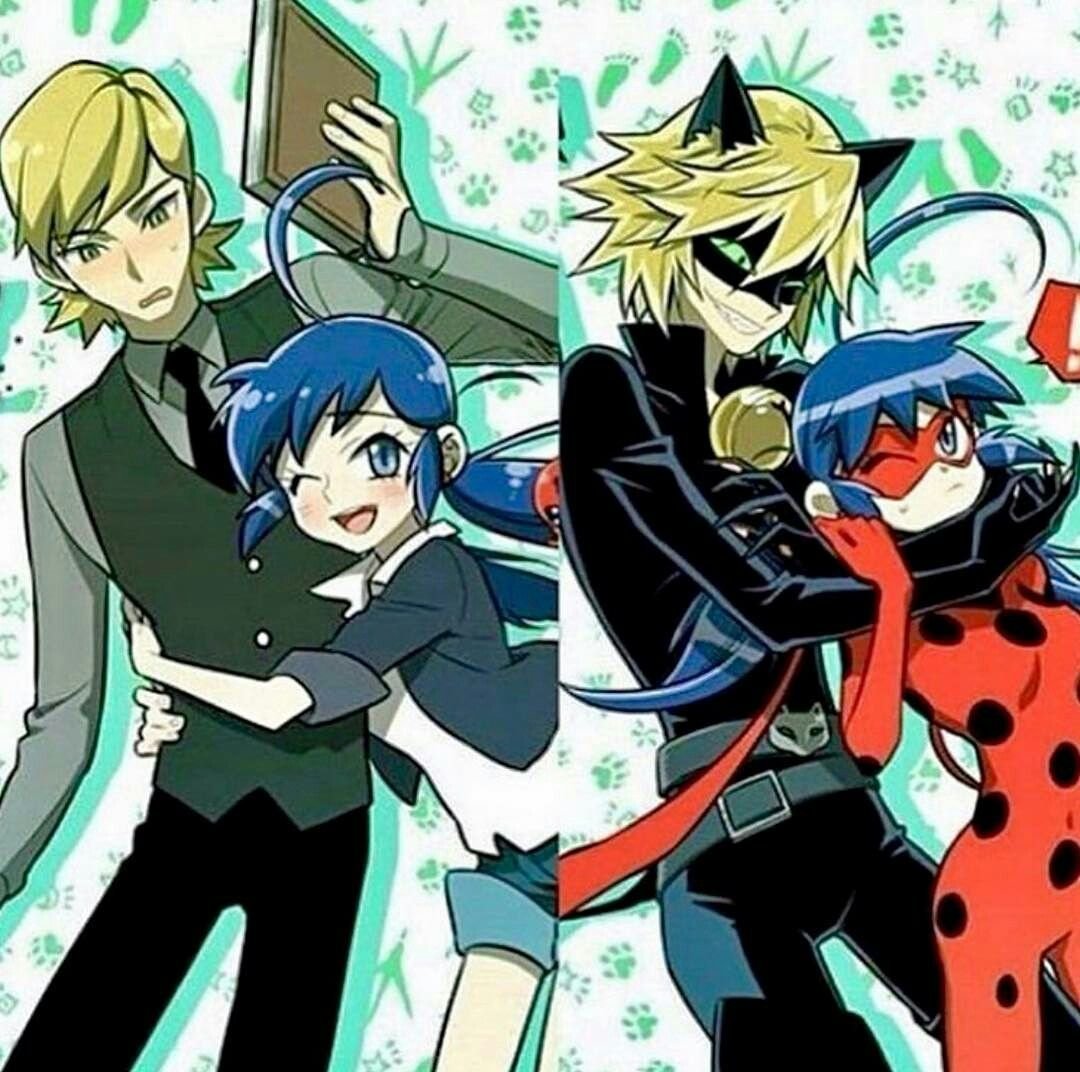 Ladybug PV Феликс