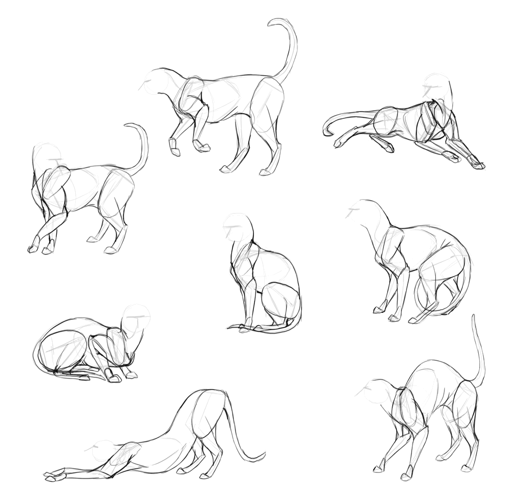 Кошка сбоку референс