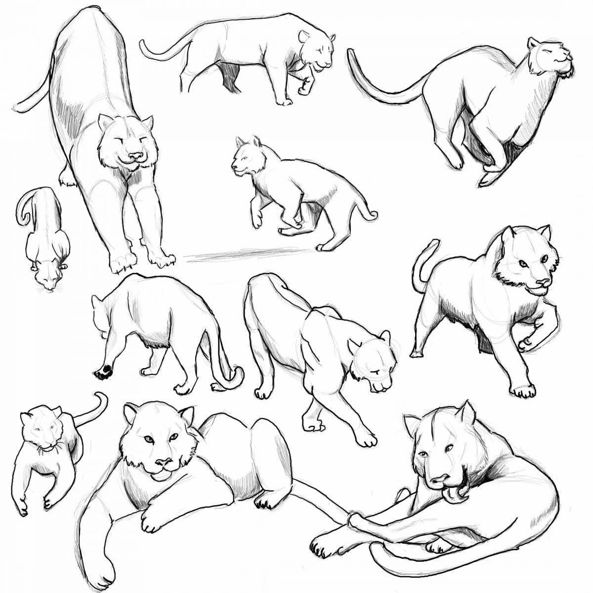 Кошачьи позы для рисования
