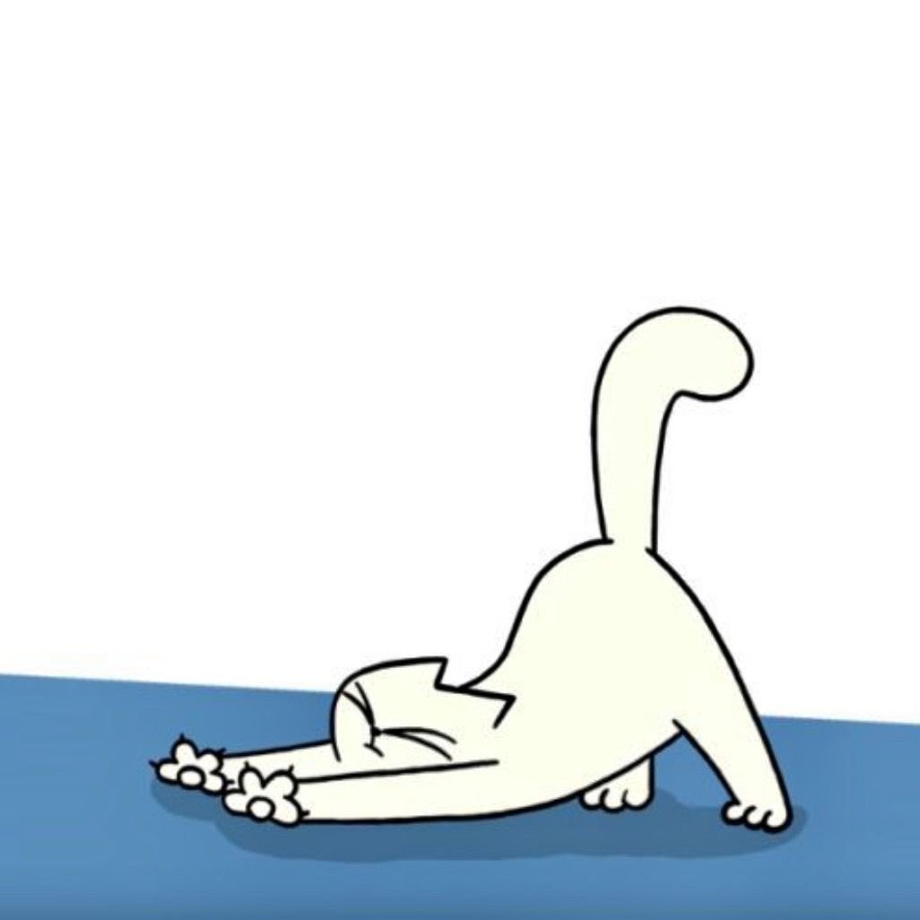 Кот Саймона Кошачья йога