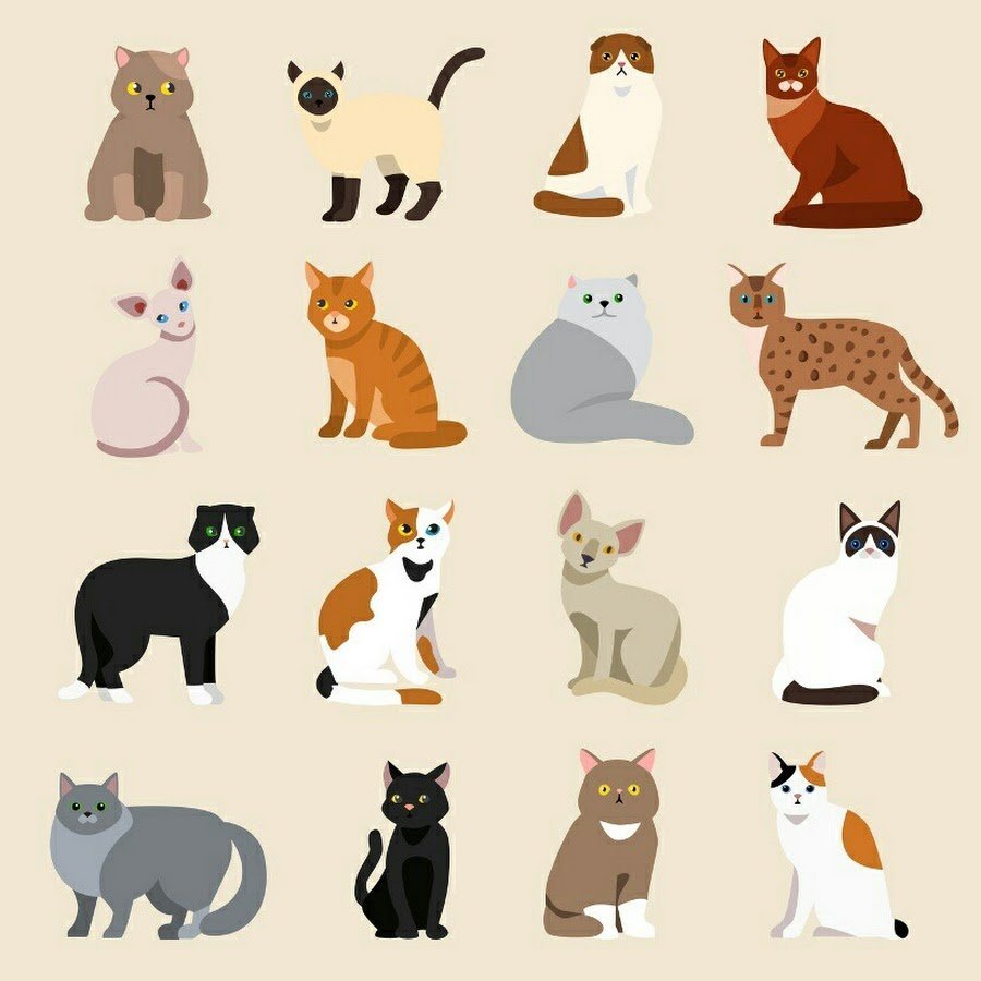 Мультяшные котики разных пород