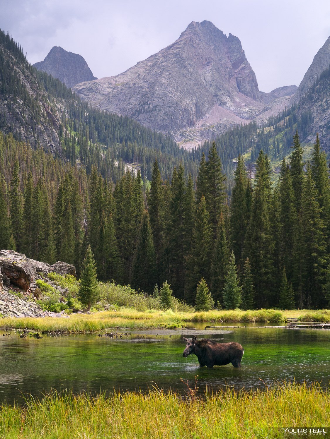 San Juan Mountains скалистые горы