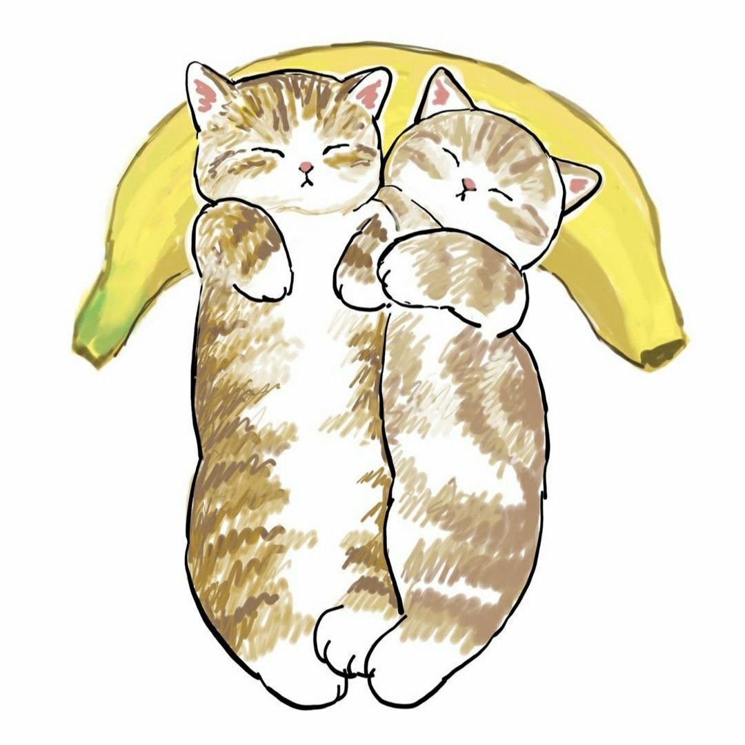 Mofusand (название) котики