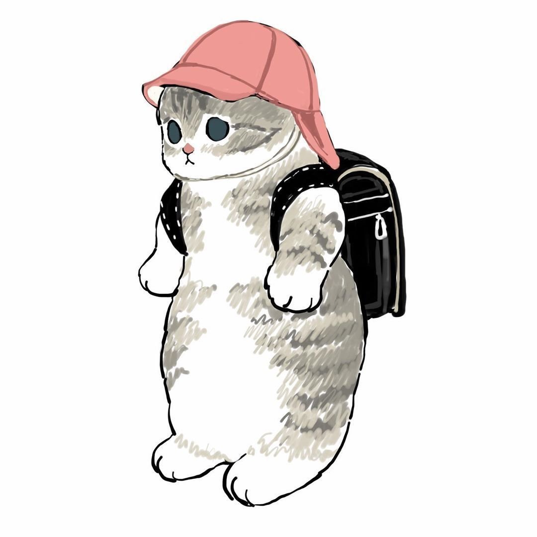 Котики Ciao