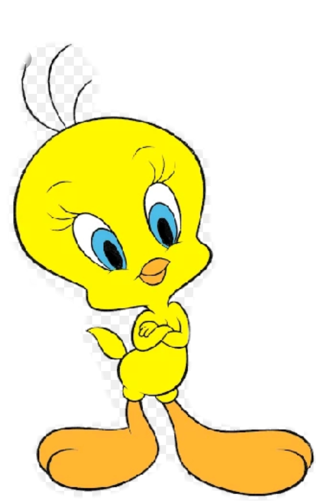 Птенец Твитти