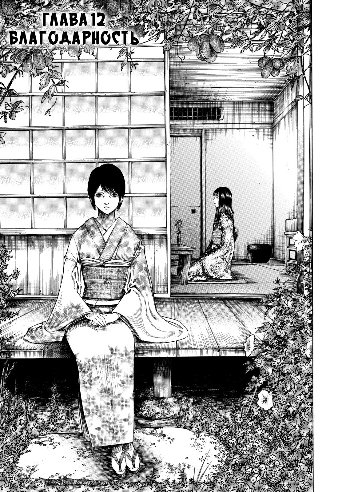 Shikabane Hime Манга 2 том