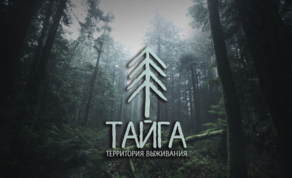 Тайга территория выживания
