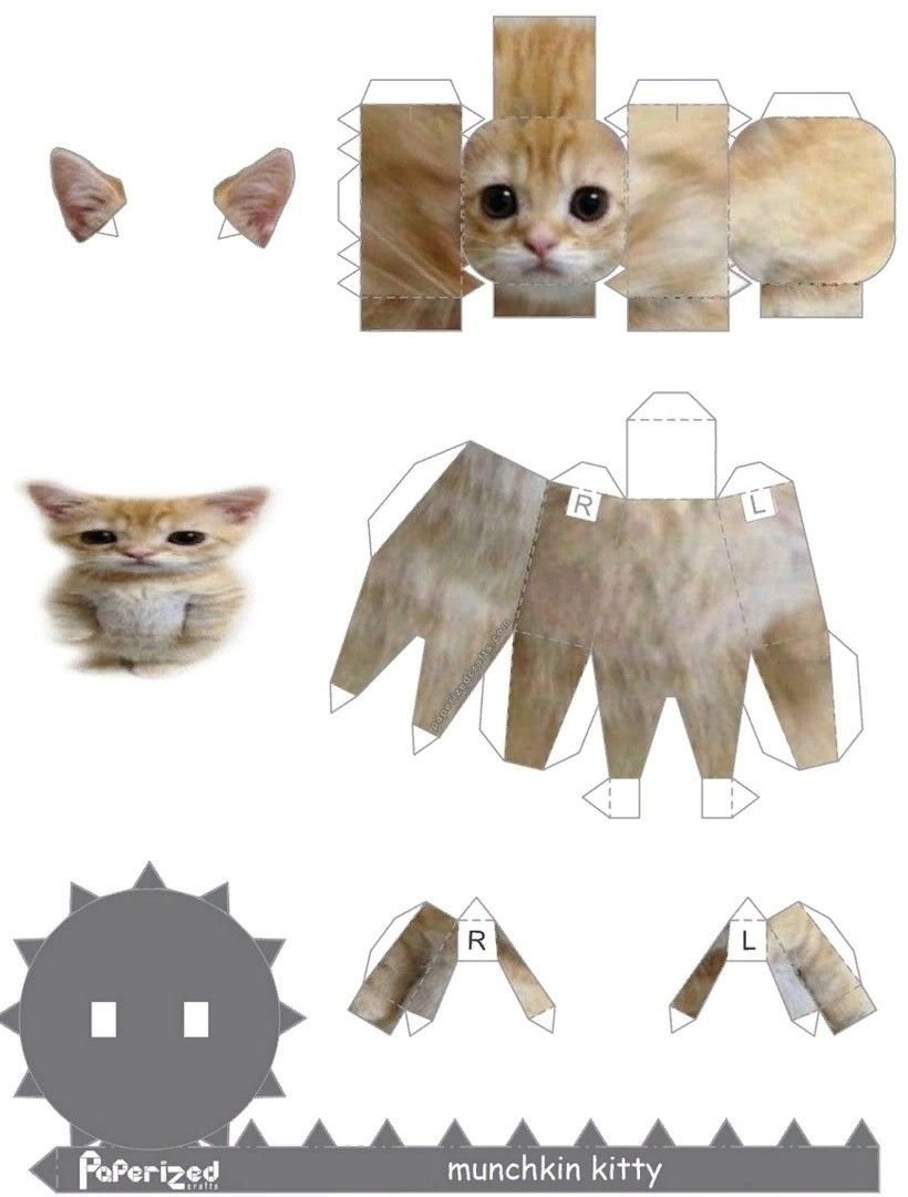 Munchkin Kitty Papercraft
