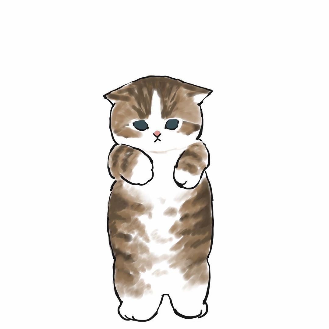 Ciao Salut котики