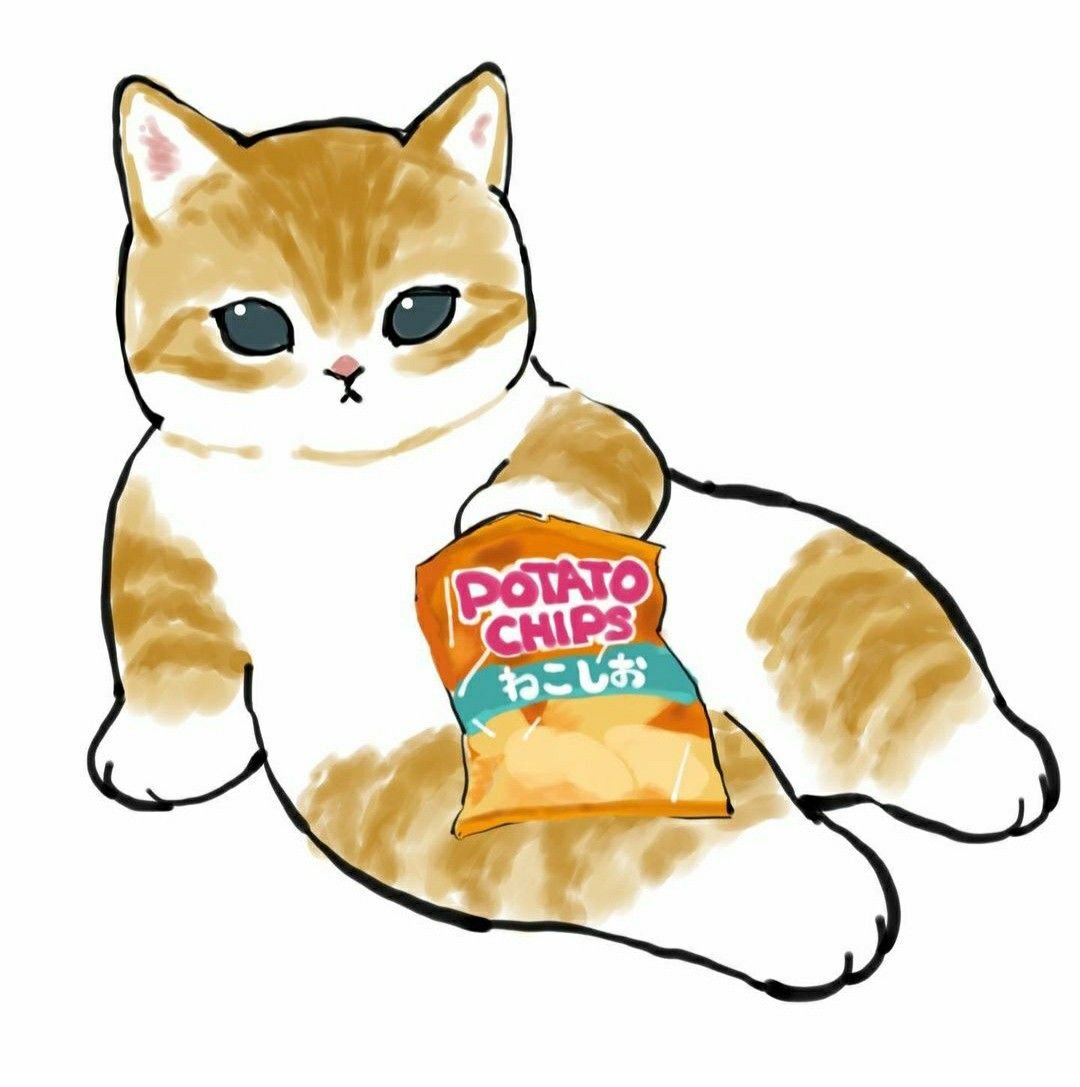 Телеграм Коти
