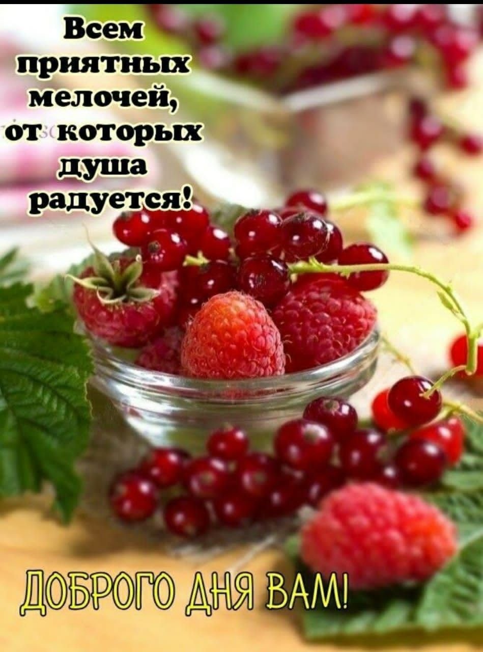 Хорошего дня картинки