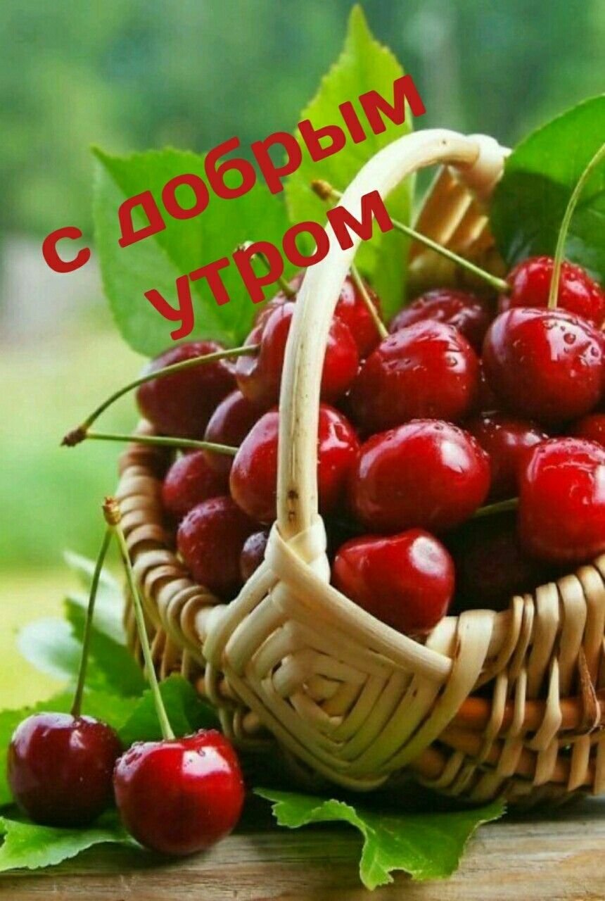 Черешня Апрелька