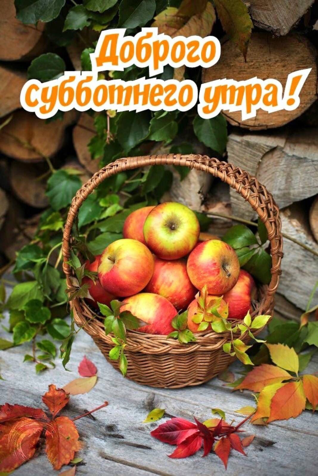 Красивого осеннего дня