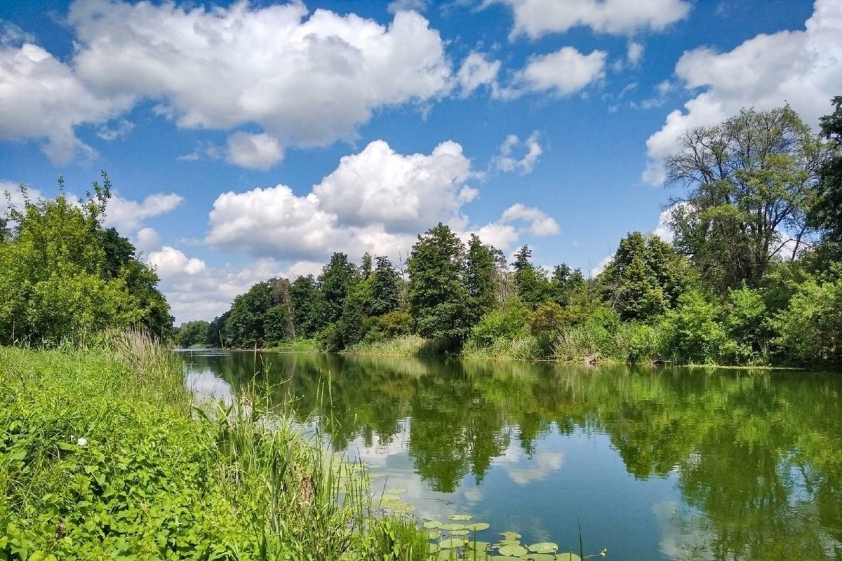 Река ворона заповедник