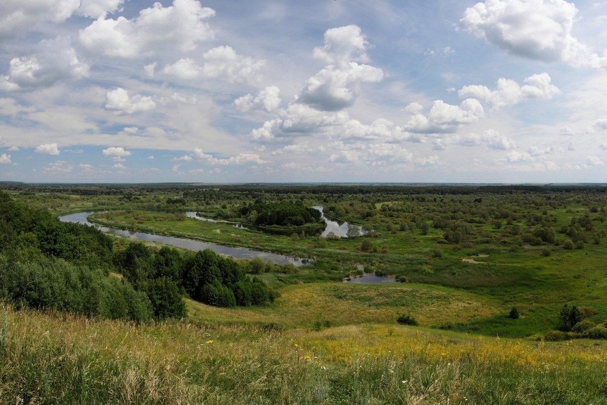 Воронинский хаповездник табмов