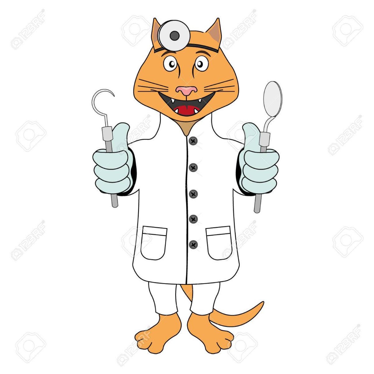 Котик доктор