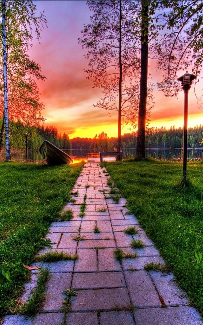 Парк закат