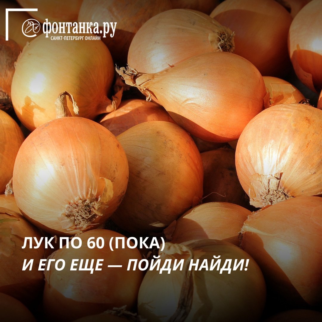 Популярный овощ