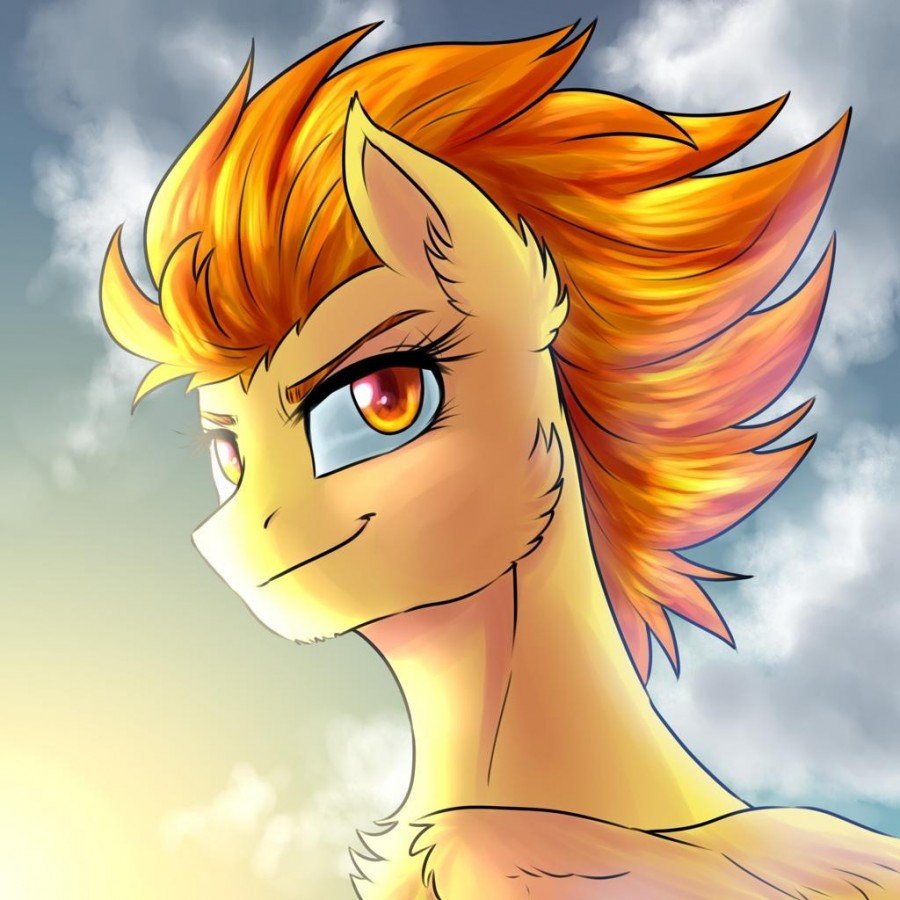 MLP Spitfire