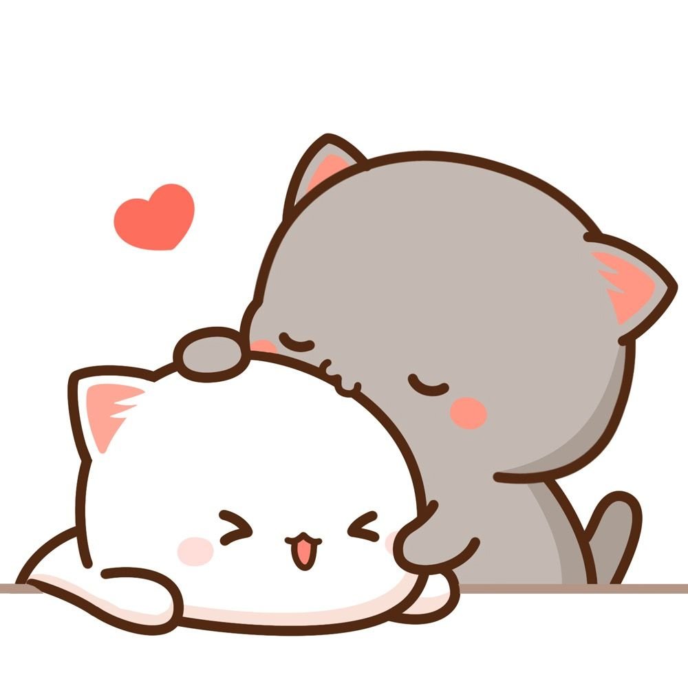 Кавайные котики любовь