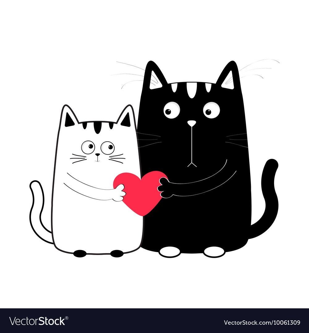 Влюбленные котики на белом фоне