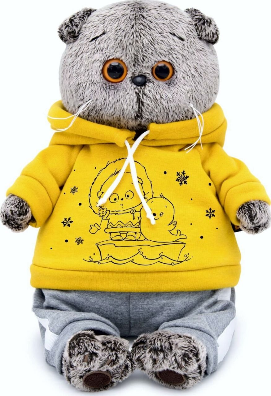 Кот Басик