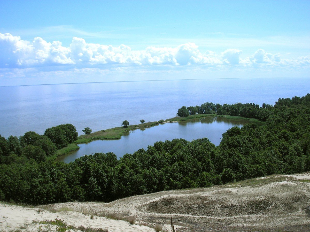 Озеро лебедь Куршская коса