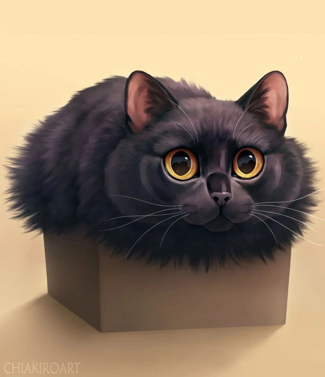Смешной кот арт