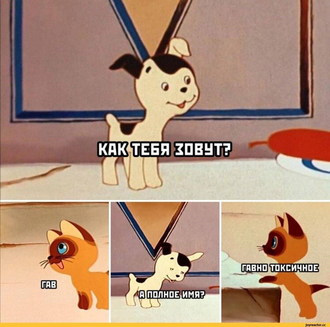 Котенок Гав неприятности