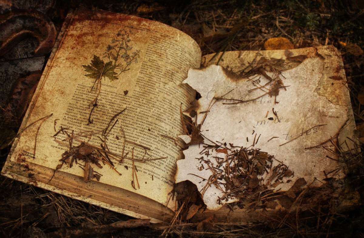 Страница старой книги