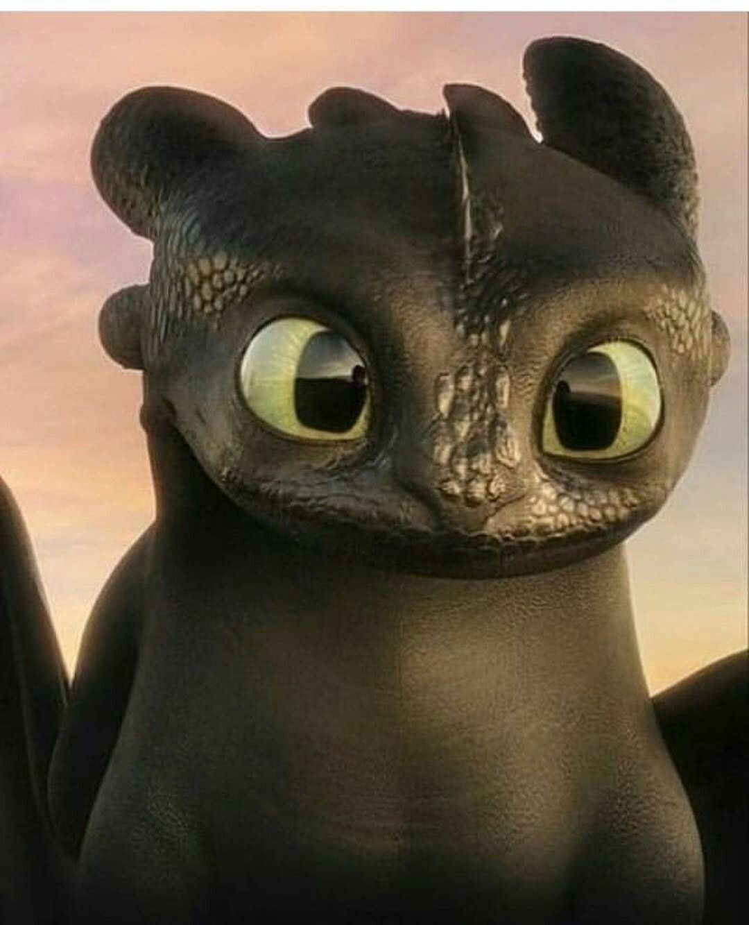 Ночная фурия дракон мультфильм