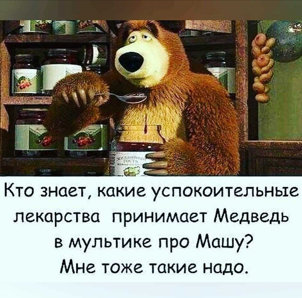 Анекдоты про Машу и медведя