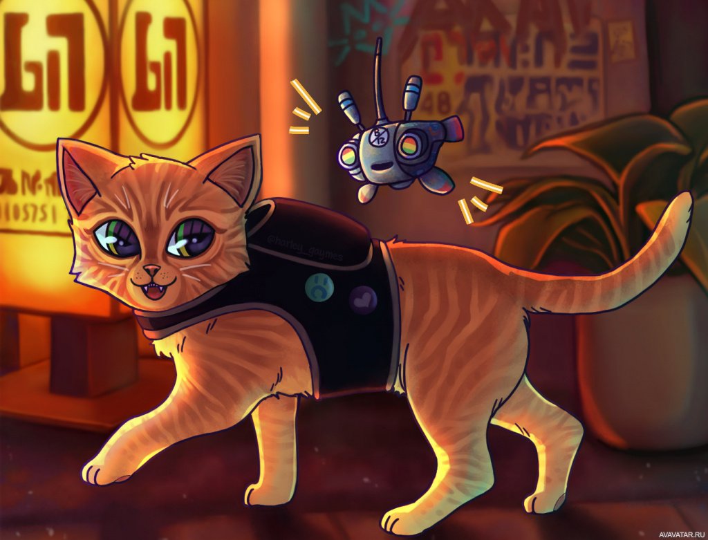 Stray арты кот