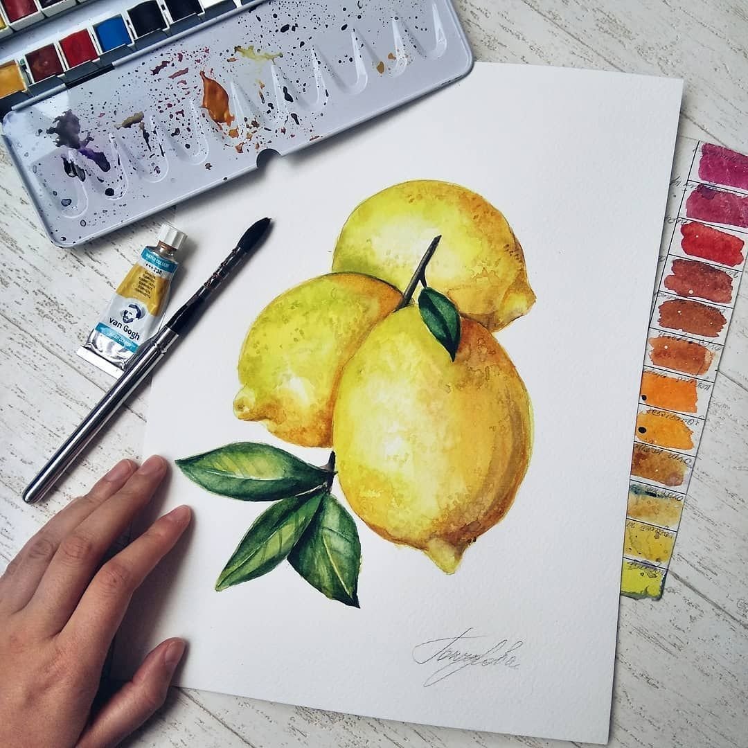 Скетчинг фрукты