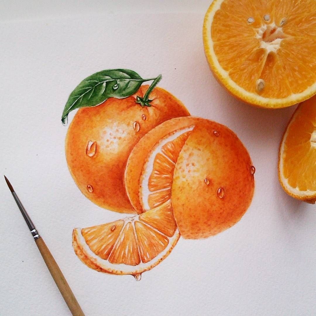 Апельсин рисунок