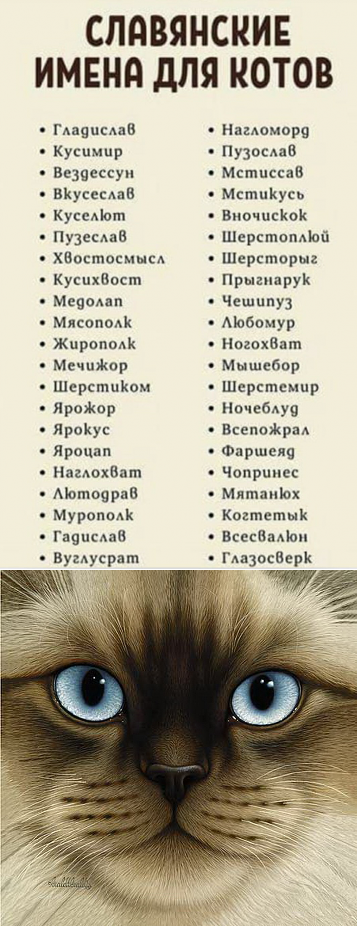 Список имен для кошек